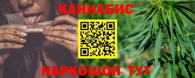 гашик Камышлов