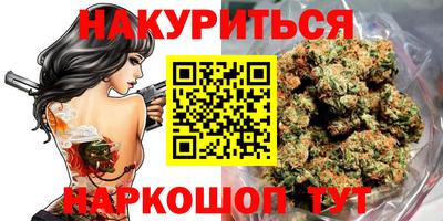 гашик Камышлов