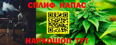 гашик Камышлов