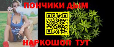 гашик Камышлов