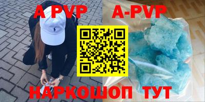 гашик Камышлов