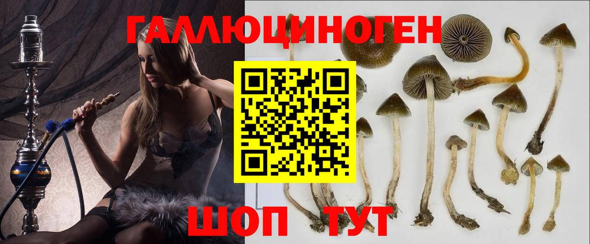 Галлюциногенные грибы мицелий Лениногорск