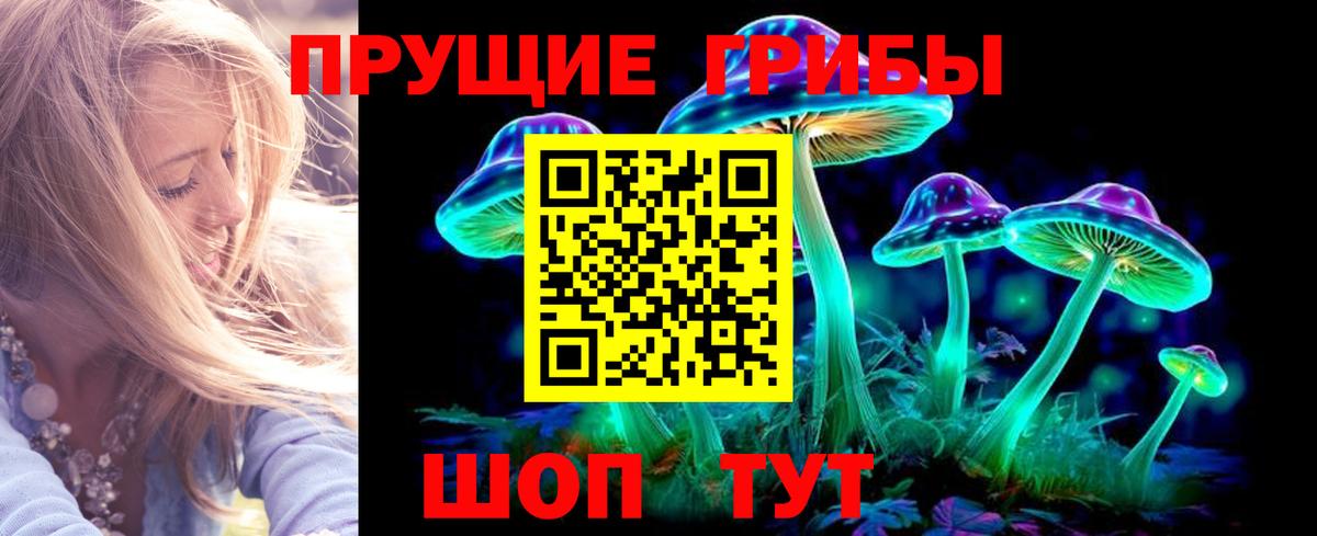 Псилоцибиновые грибы MAGIC MUSHROOMS  Вход с VPN  Лениногорск  дарнет шоп  Псилоцибиновые грибы прущие грибы 